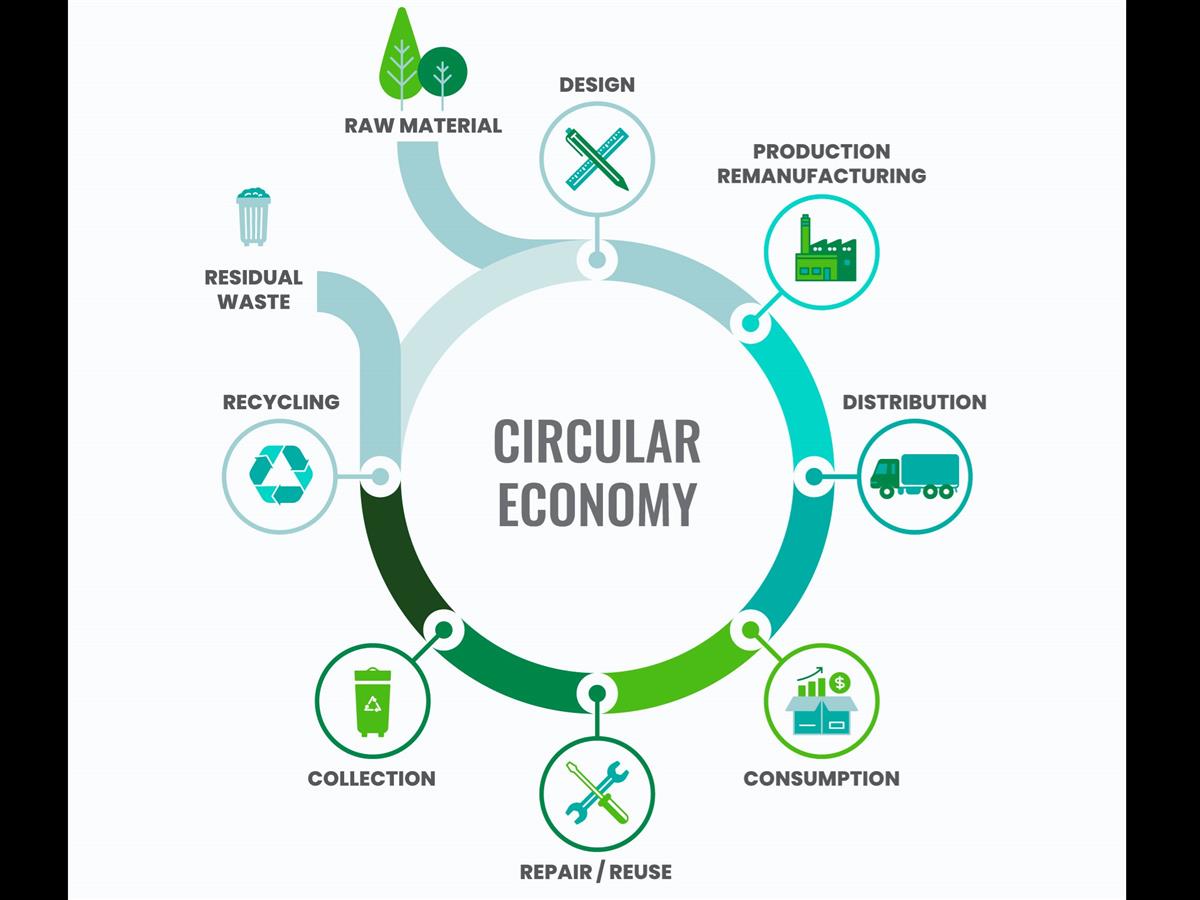 Rethinking Packaging: From Single-Use Plastics to a Circular Economy