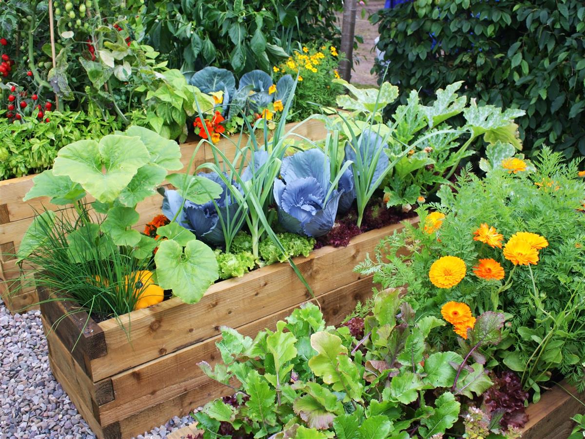 Sustainable Gardening: Cultivate a Greener Future