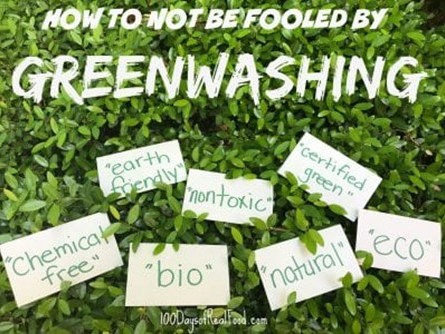 Thou Shall Not Sin - Greenwashing Edition