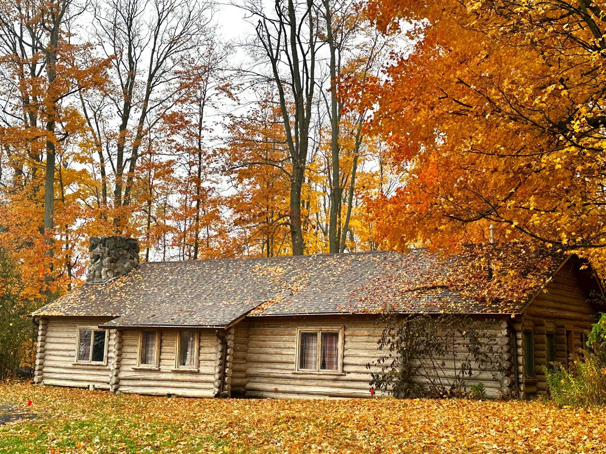 Curriculum Integration at the Log Cabin