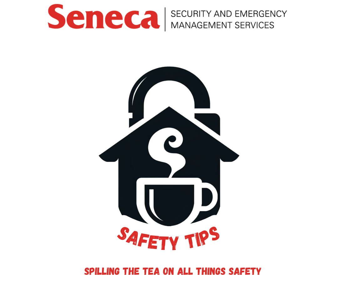 Click the image above to be redirected to the Safety Tips Wiki.