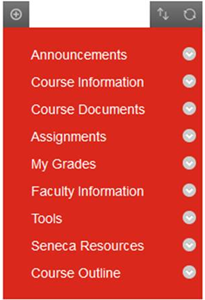 The default course menu in My.Seneca; this includes the Course Outline menu item at the bottom of the list.