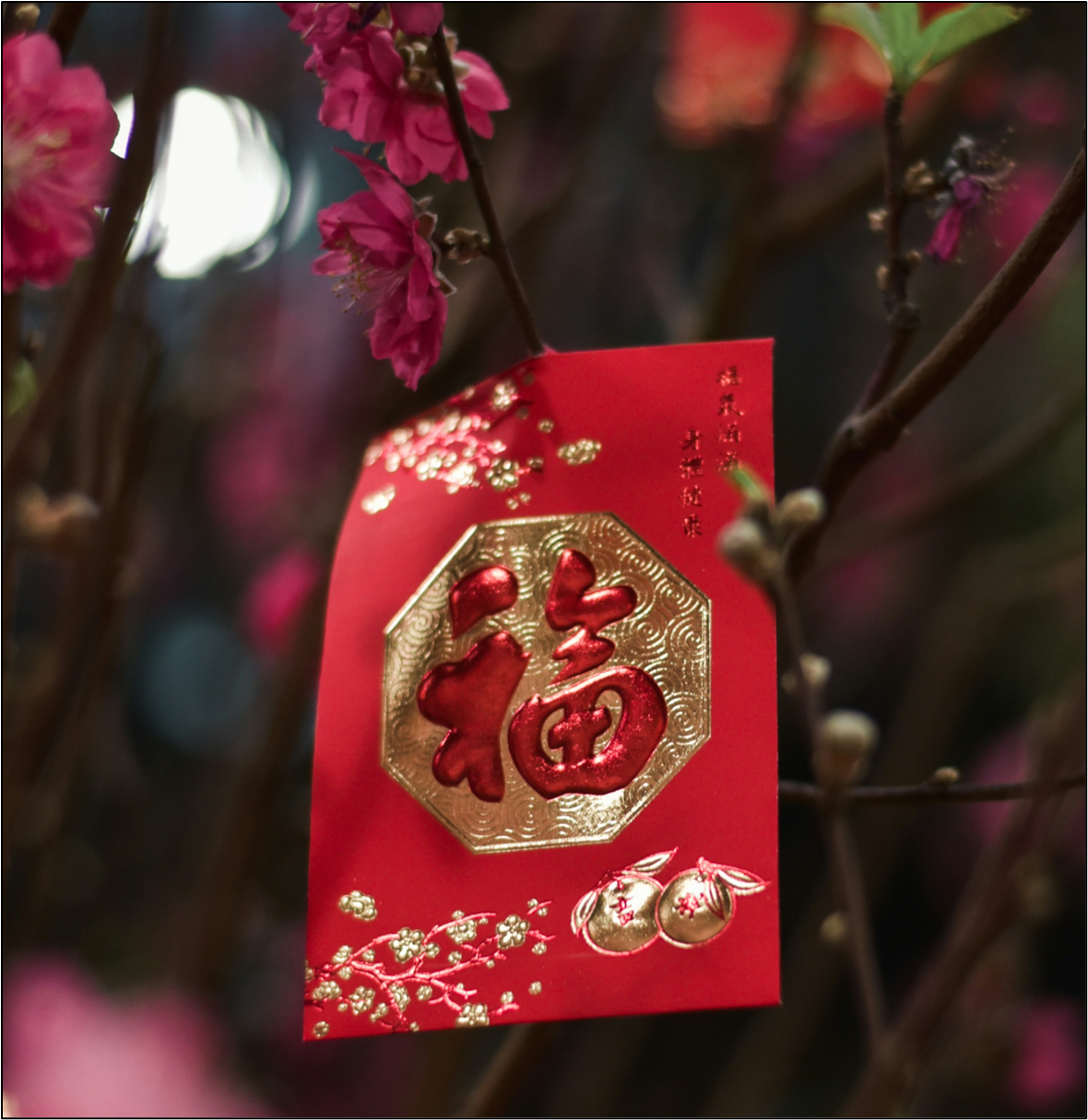 Red envelope given at Lunar New Year with Chinese character for blessings against backdrop of plum blossoms
