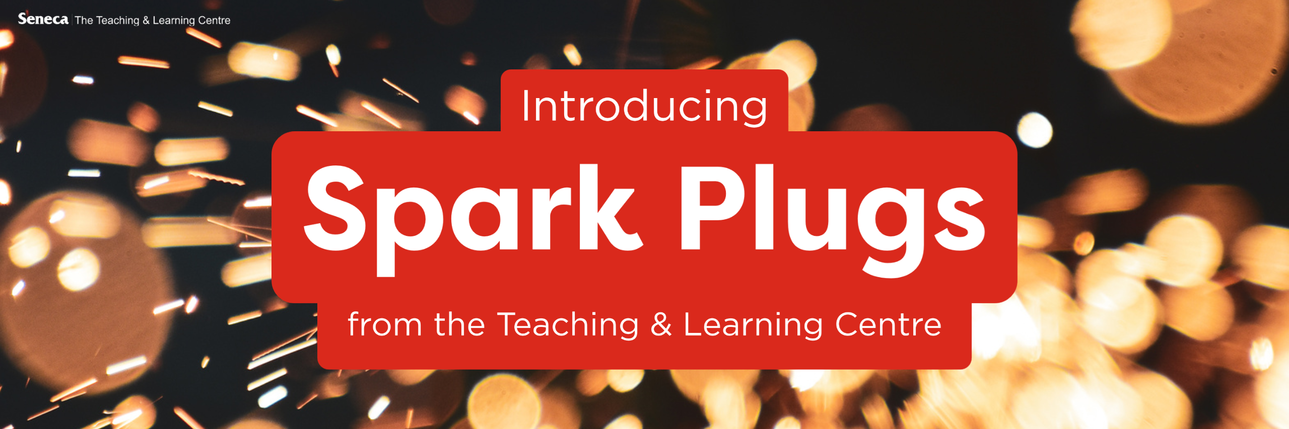 Introducing the Teaching & Learning Centre Spark Plugs