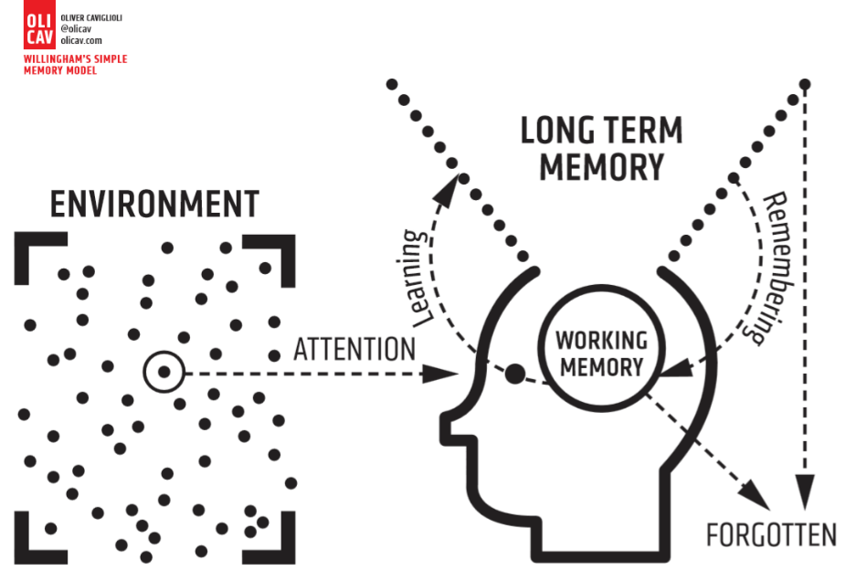Willingham’s simple memory model, designed by Oliver Caviglioli