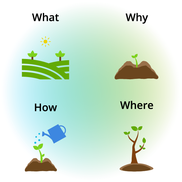 Framework to Integrate Sustainability into Curriculum