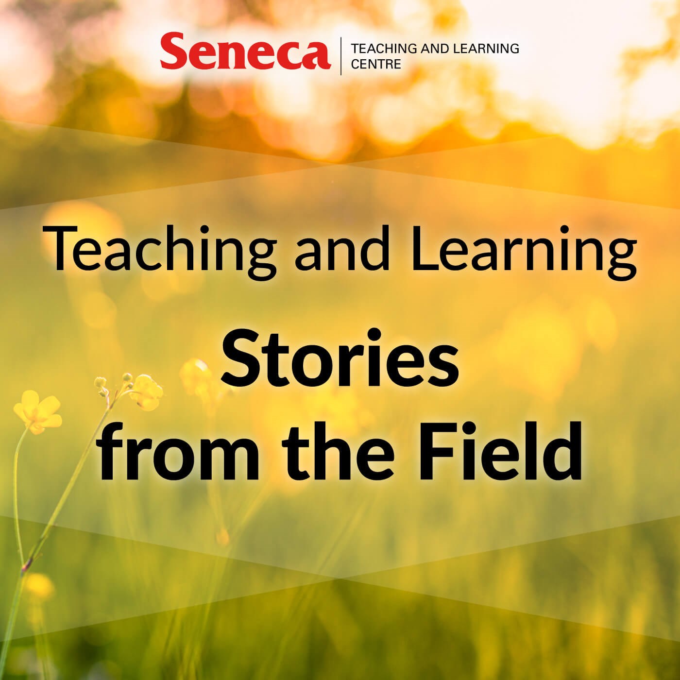 Teaching and Learning Stories from the Field