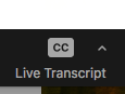 The button to push while in a zoom meeting for live transcription