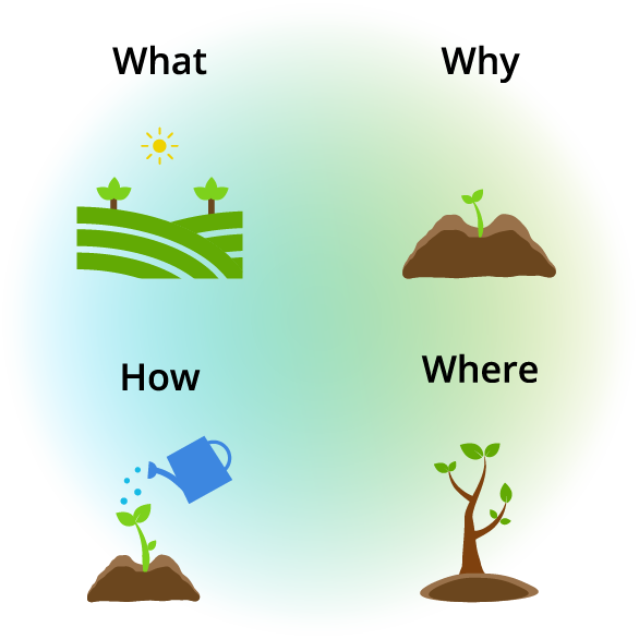 sustainability framework quadrants: What, why, how, where