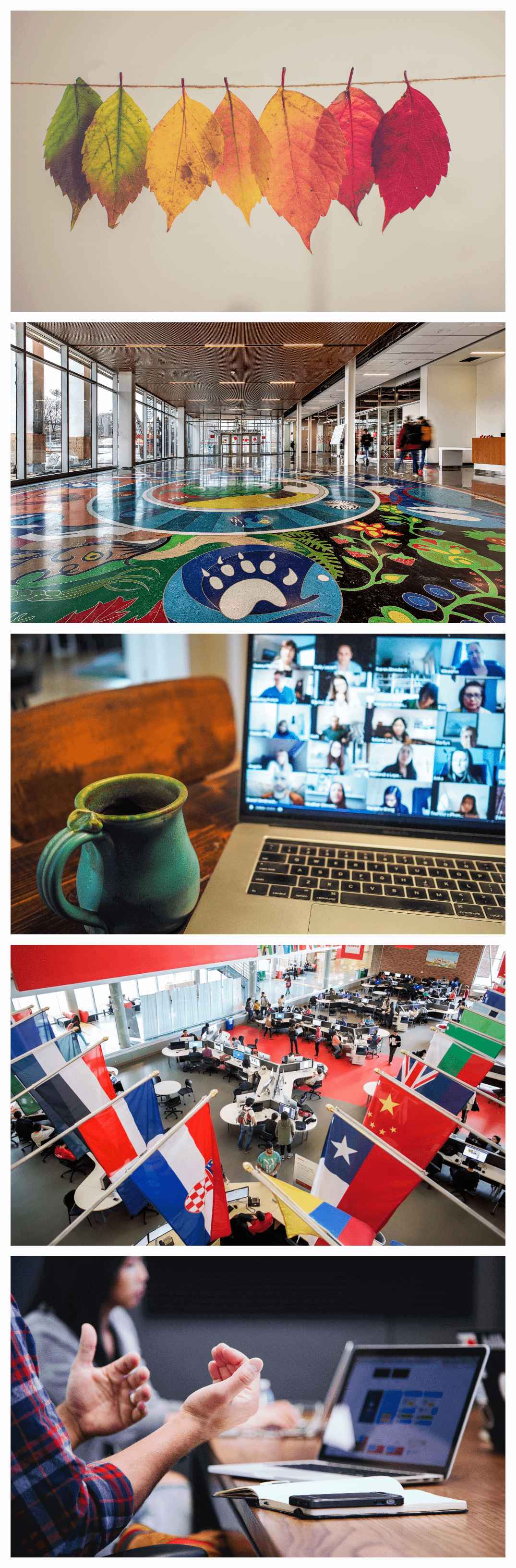 A collage of four images: the first image is different colours of leaves handing on a line; the second image is on the medallion on the floor of the CITE building at Seneca; the third is a web-conference meeting screen on a laptop showing all the people in the meeting; the fourth is a picture of the computer commons at Seneca@York, focusing on the flags from different countries on display; and the fifth is a person at a meeting, talking to their laptop