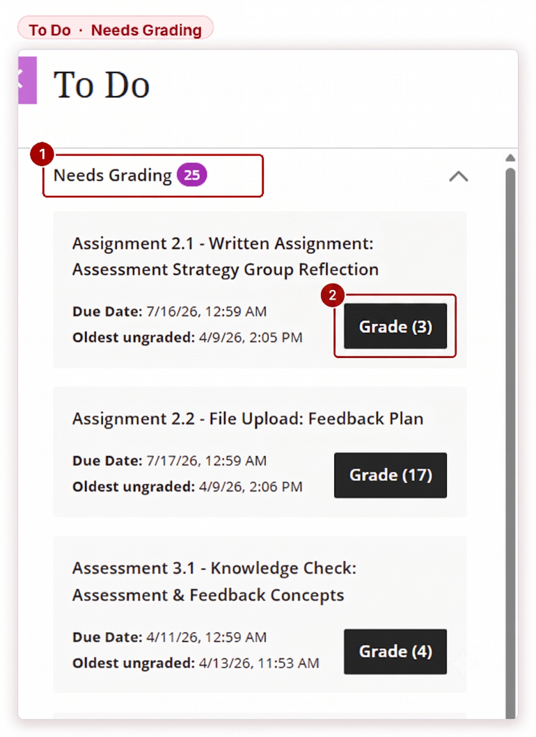 Figure 5 — The Needs Grading section of the To Do panel.