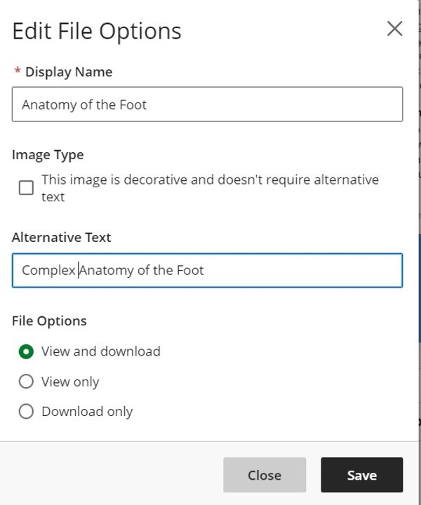 Edit File Options -- when adding a picture to a Blackboard Ultra course, you are prompted to add a display name and an Alternative Text descriptor as part of the process.