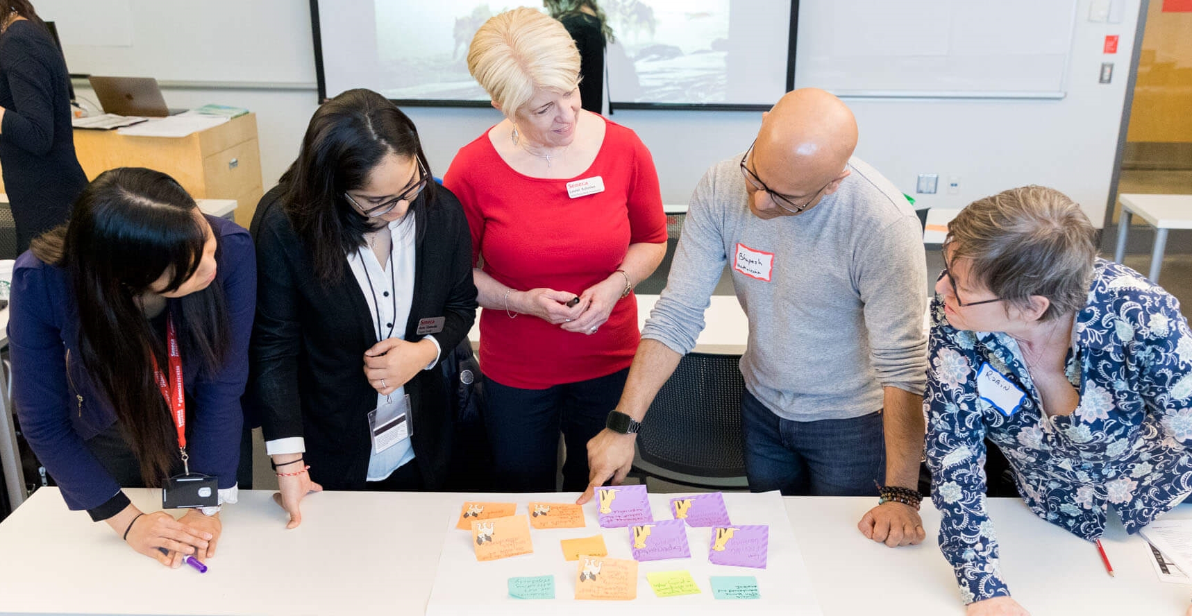 A group of faculty members collaborating