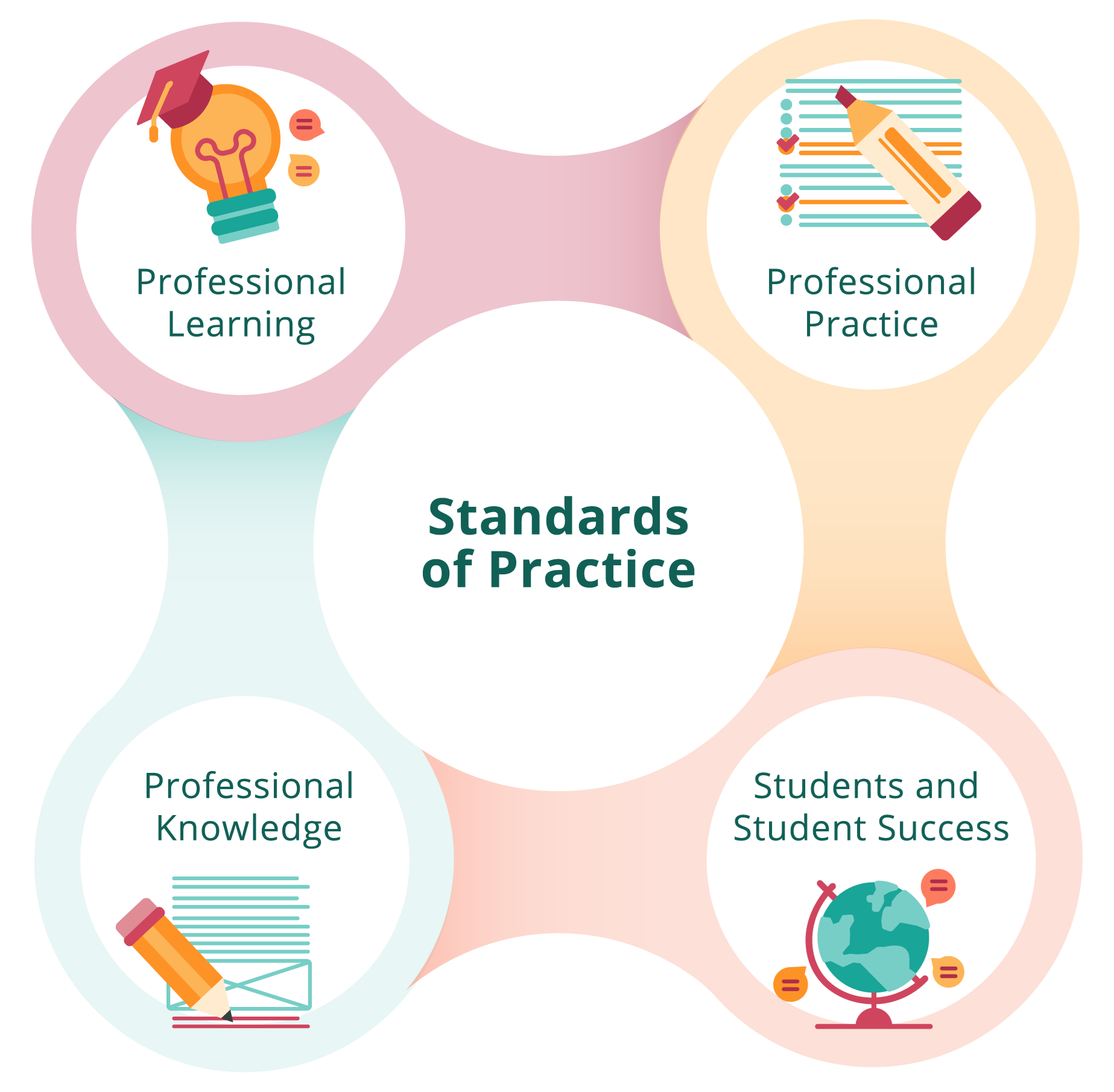 standards of practice domains