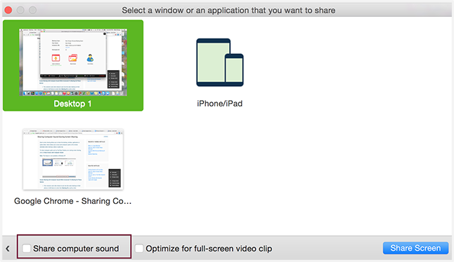 Screenshot of screen sharing options in a browser.